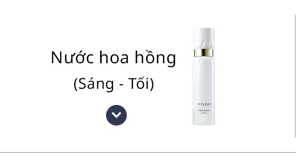 Nước hoa hồng＜Sáng・Tối＞